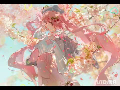 神秘的月光（灿烂的樱花) { NHẠC CHILL~~ THƯ GIÃN `` } [ NHT_MUSIC ]  { AOMOCHA }