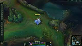 1 Hour Nunu Flute Emote Loop - League Of Legends And Willump 3Rd
