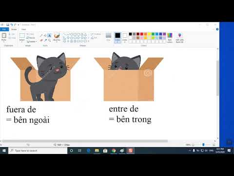 các từ ngữ chỉ vị trí trong tiếng Tây Ban Nha (phần 1)