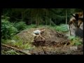 Sabre-toothed tiger attack - Primeval - BBC America