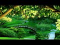 3 Hours Meditation Relaxing Music Bamboo Flute Background Spa Healing images 3 Hours Meditation Relaxing Music Bamboo Flute Background Spa Healing