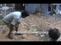 SpotFixing at Bishop Cotton Girls' School Part 7 - The Ugly Indian