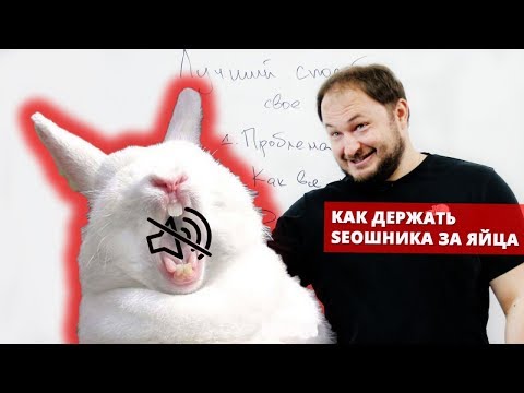 Как контролировать свое SEO или держать seoшника за яйца Как контролировать свое SEO или держать seoшника за яйца