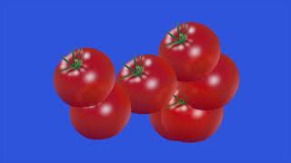 Motion Tomato Green Screenanimation Harmonic Tomato Vegetable
