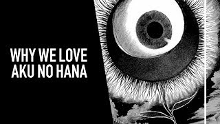 WHY WE LOVE AKU NO HANA ? ANIME3