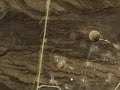 UFO 2010, AREA 51, CROP CIRCLE
