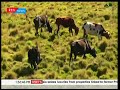 News Desk: Indigenous community face eviction