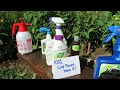 How Does Neem Oil Work, Insect Examples & Making Your Own Neem Oil Spray: Save Money! - TRG 2014