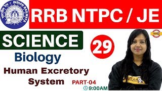 Class- 29 ||RRB NTPC/JE /UPSSSC /SSC || Science || Biology| By Amrita Ma'am ||Human Excretory System