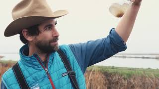 The New Way Forward Wetlands by River Garden Farms