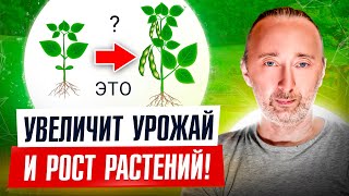 Хотите Поднять Урожай В 2 Раза: В Саду, Огороде, Теплице? Здоровая Почва И Плодородие Всегда!