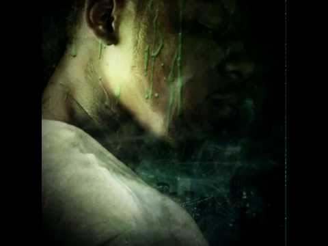 What You Like Video