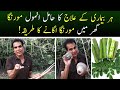 How to grow Moringa Plant at Home? | Moringa Health Benefits | Dr Shahzad Basra | Aik Pakistan