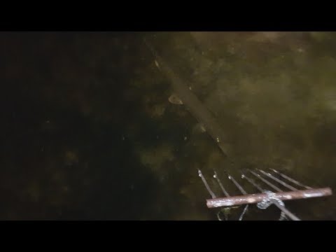 Подводная охота на щуку с ружьем ночью видео. Ловля щуки с лодки Подводная охота на щуку с ружьем ночью видео. Ловля щуки с лодки