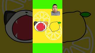 Lemon Fail 😱😱 #Cat #Animation