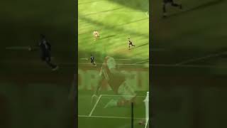 fZsWm9Y-FEw Video Image