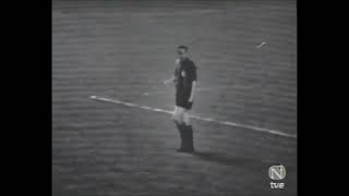 fZvThEkbWlk Video Image