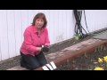 Gardening: Caring for Plants : How to Plant a Small Organic Vegetable Garden