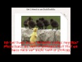 Duckduckgo S Search Engine Non Tracking Duckduckgo S Search Engine Non Tracking