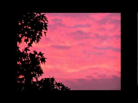 Nathan Fake - The sky was pink (James Holden rmx)