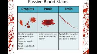 Blood Spatter Ysis