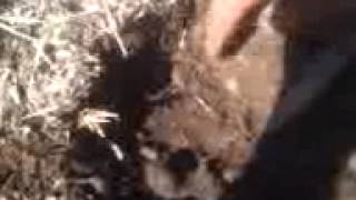 Afternoon Dig. Hot And Hotspot Part One