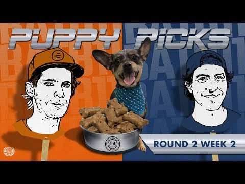 BATB 11 | Puppy Picks - Round 2: Week 2