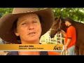 AACC Equine Training