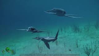 Nat Geo Wild Hd Dinosaurs Predators Of The Deep 2020