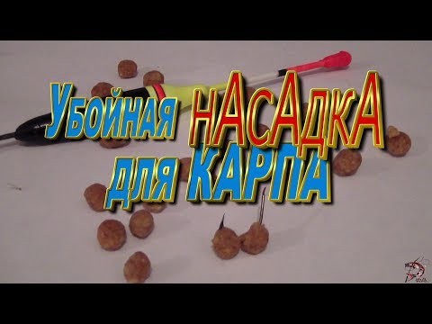 ловля сазана на макароны ловля сазана на макароны