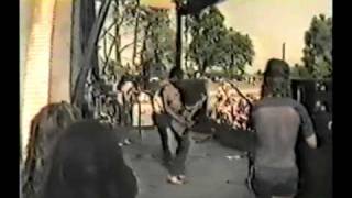 Watch Joe Perry Discount Dogs video