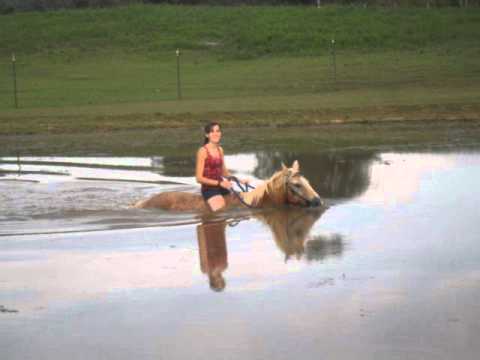 Riding through the pond