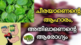 Need To Know This Should You Eat Green Or Red Spinach?
