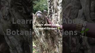 Visit Aburi Botanical Gardens Ghana