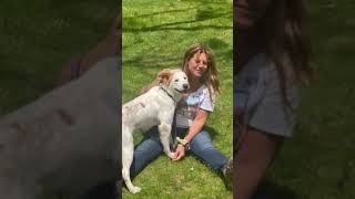Ginny video Bissell transport May 2022