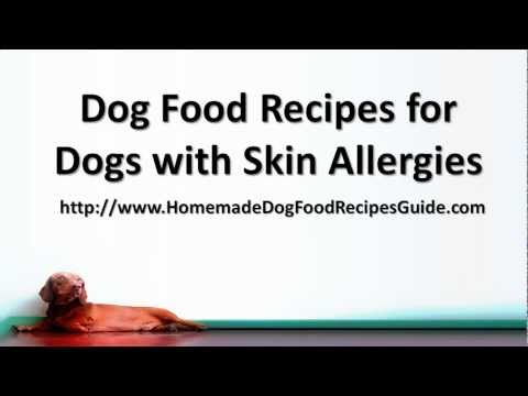 Photo Dog Cake Recipes For Dogs With Allergies