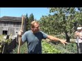 Back To Eden Garden Full Tour June 1 2014 L2survive ...