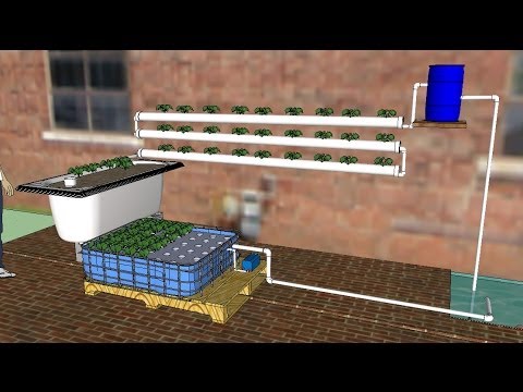 DIY Aquaponics for Beginners 2014, a How To guide to making your first ...
