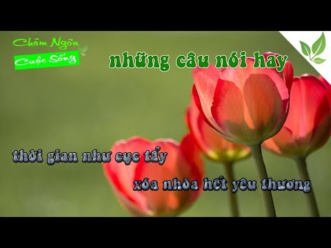 10 status hay về cuộc sống