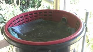 My DIY koi pond filter.