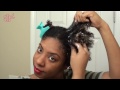Bantu Knot Out on Blown Out Natural Hair feat. Shea Moisture