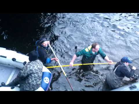рыбалка на песчаном донецк рыбалка на песчаном донецк