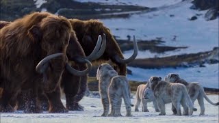 Life On Our Planet - Cave Lions Vs Woolly Mammoths