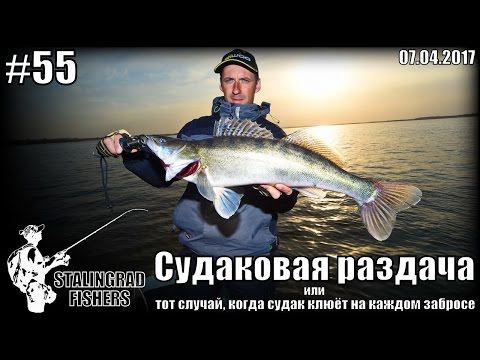 ловля щуки на нижней волге ловля щуки на нижней волге