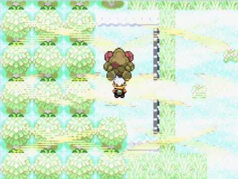 Descargar Pokemon Hack Rooms Gba Con Multiplayer Descargar Pokemon Hack Rooms Gba Con Multiplayer