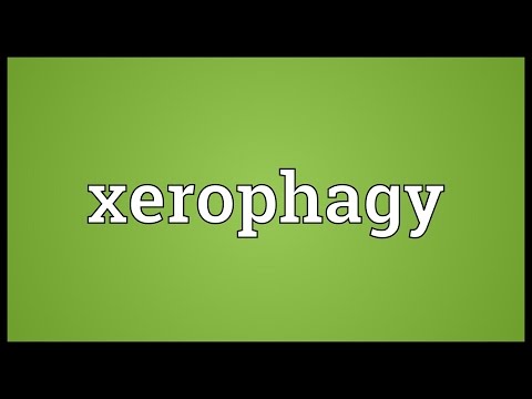 Header of xerophagy