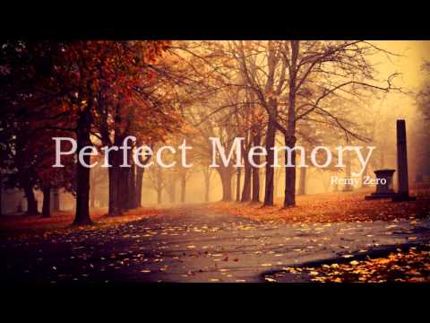 Perfect Memory Video