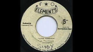 Dynamics Bim Sherman - Love Forever Dub