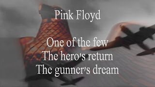 Watch Pink Floyd One Of The Few video