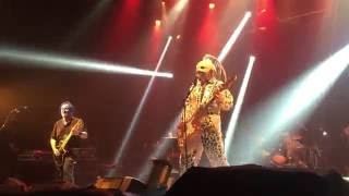 Watch Groovy Aardvark Des Tonnes video